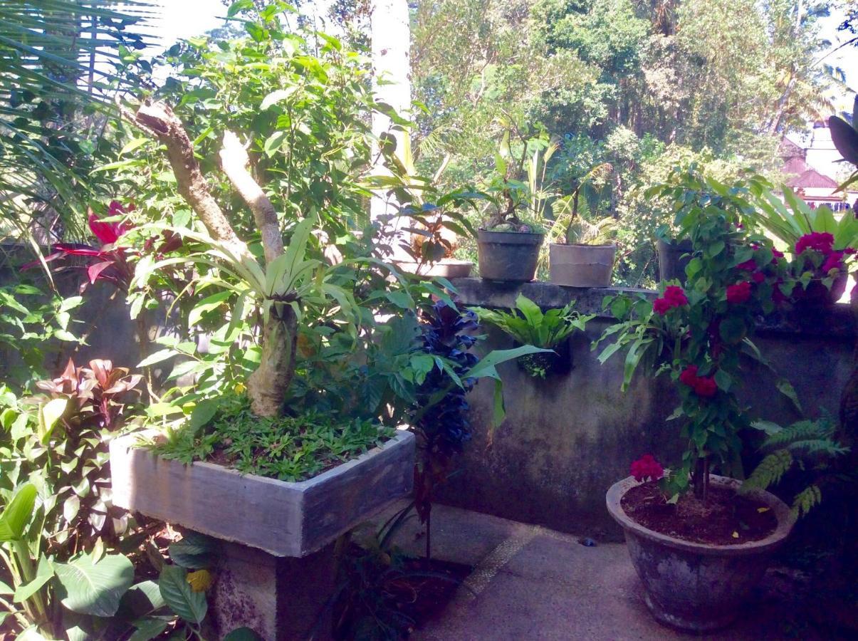 Rumah Irak Et Kadek Bali Ουμπούντ Εξωτερικό φωτογραφία